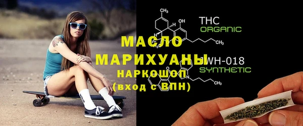 шишки Лабытнанги