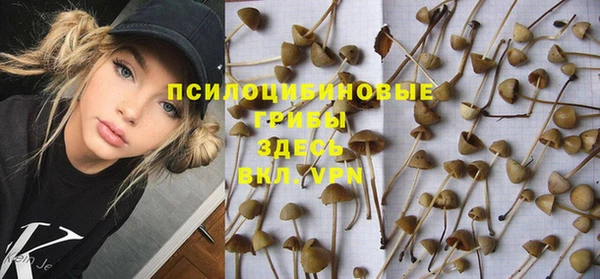 герыч Анжеро-Судженск