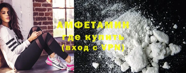 сатива Кулебаки