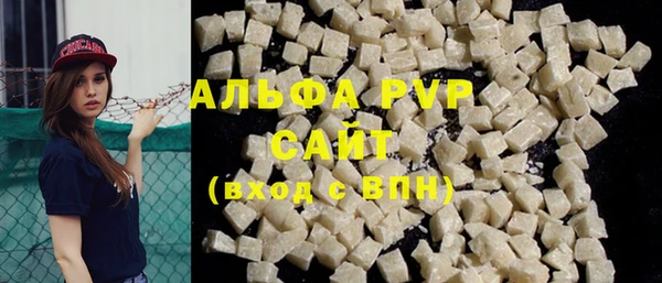 шишки Лабытнанги