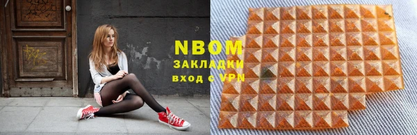шишки Лабытнанги
