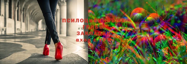 соль курить ск Лагань