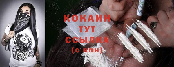 шишки Лабытнанги