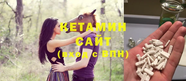 шишки Лабытнанги