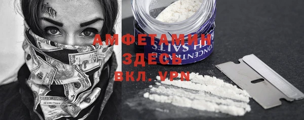 сатива Кулебаки