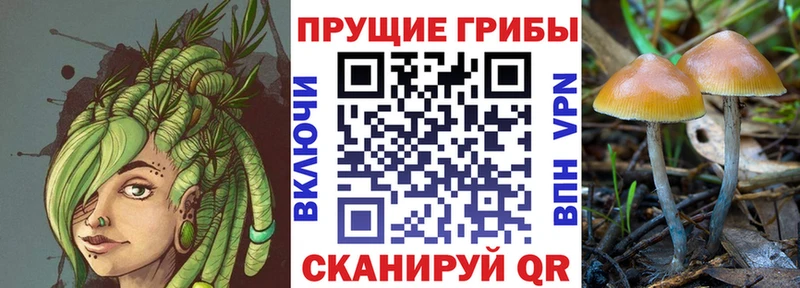 Галлюциногенные грибы мухоморы  Купить где  Красноармейск 